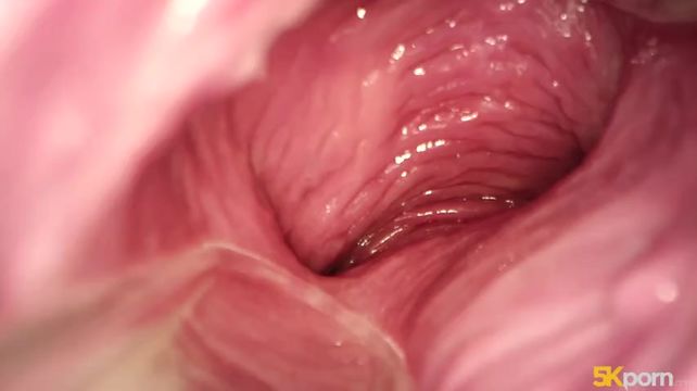 Порно видео влагалище сперма член